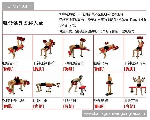 vsport体育在运动健身中的应用与实用技巧全面分享